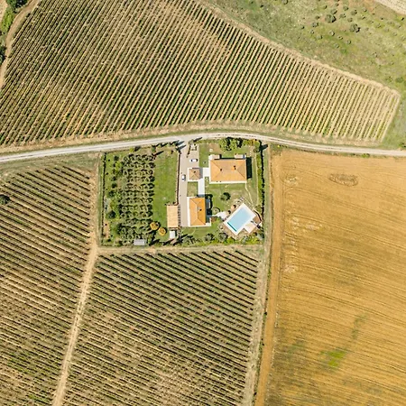 Agriturismo Antica Corte - Rose Montepulciano Stazione
