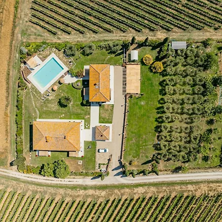 Agriturismo Antica Corte - Rose